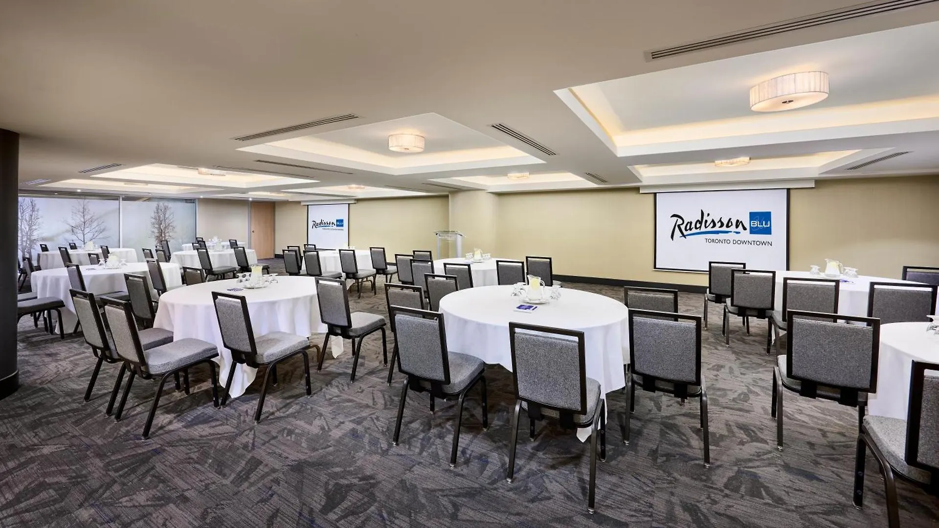Radisson Blu Toronto Downtown Hotel